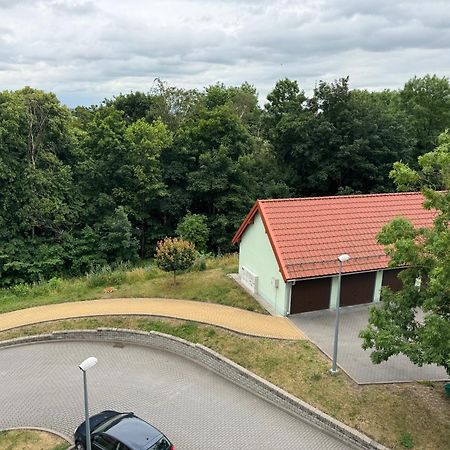 Bozki Apartament Kętrzyn Dış mekan fotoğraf